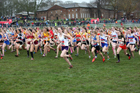 Junior girls 2019 New Balance English Schools Cross Country Champs, Temple Newsam, Leeds. Photo:  David T. Hewitson/Sports for All Pics